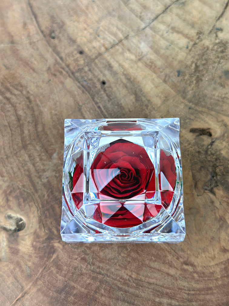 Red Longlife Rose in transparent "jewel" gift box