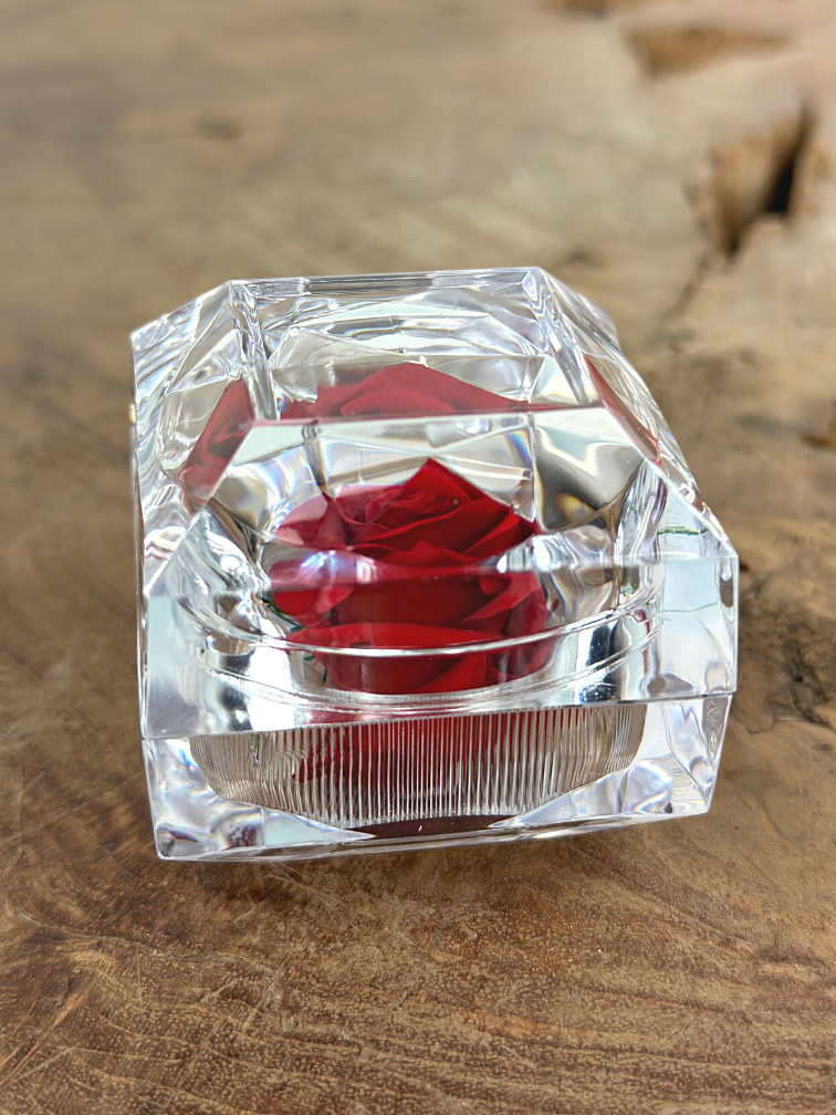 Rosa roja de larga vida (kleinn) en caja de regalo "joya" transparente