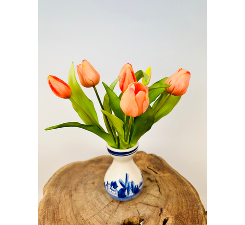 Konsttulpaner "Dutch Splendour" - lax | 30cm