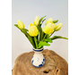 Tulipes d'art "Dutch Splendour" - jaune | 30cm