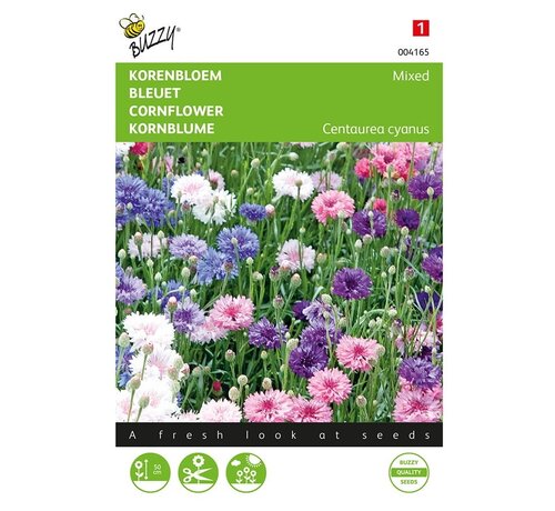 Buzzy® Centaurea, Fiordaliso a fiore doppio misto