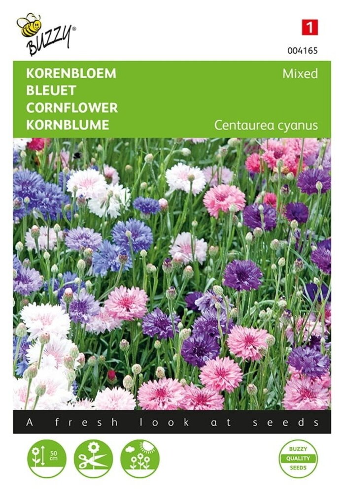 Buzzy® Centaurea, Fiordaliso a fiore doppio misto