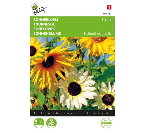 Buzzy® Buzzy® Helianthus, Tournesol Esther