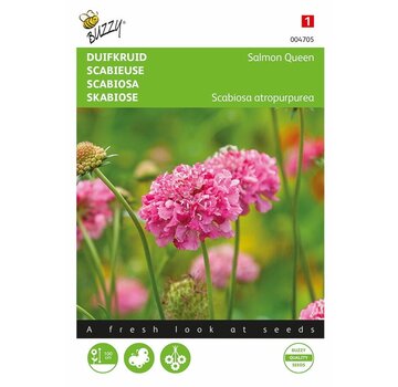 Buzzy® Buzzy® Scabiosa, Pigeonweed Reina Salmón