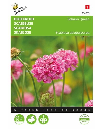Buzzy® Buzzy® Scabiosa, duvmossa Laxdrottning