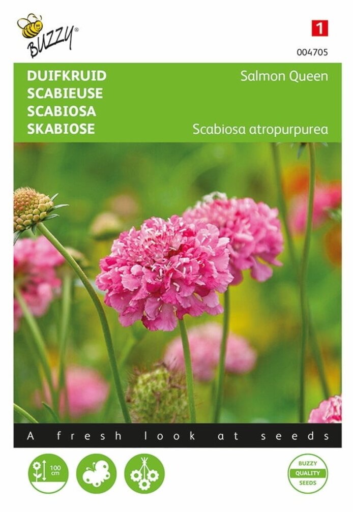Buzzy® Scabiosa, duvmossa Laxdrottning