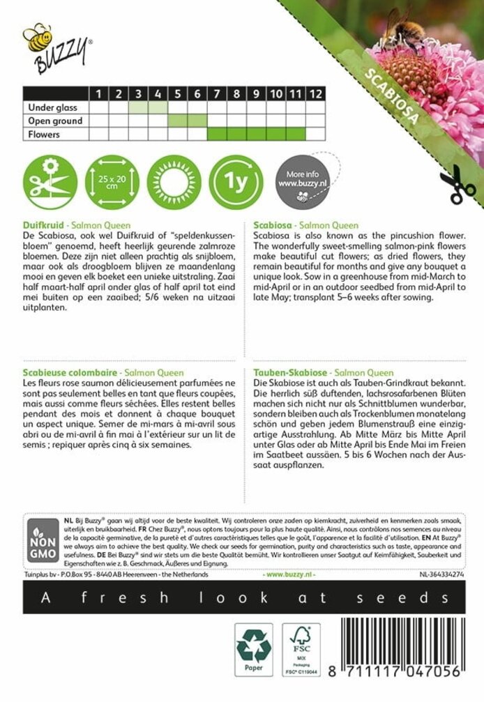 Buzzy® Scabiosa, duvmossa Laxdrottning