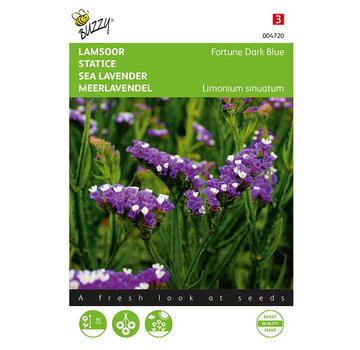 Buzzy® Buzzy® Limonium, Oreja de cordero Fortuna Azul oscuro