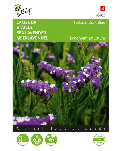 Buzzy® Buzzy® Limonium, Lammöron Lycka Mörkblå