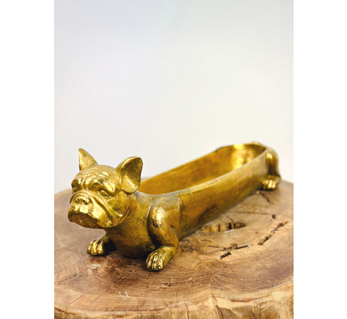 Gold Pflanzgefäß "Bulldogge" | 37,5cm