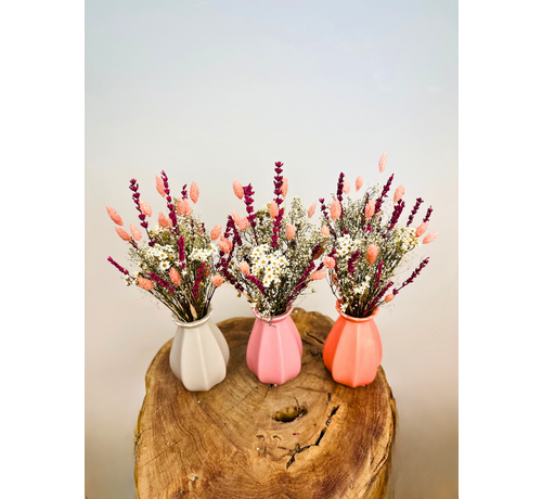 Ramo de flores secas "Rosas de Ensueño" con jarrón incluido | 30cm