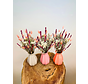 Ramo de flores secas "Rosas de Ensueño" con jarrón incluido | 30cm