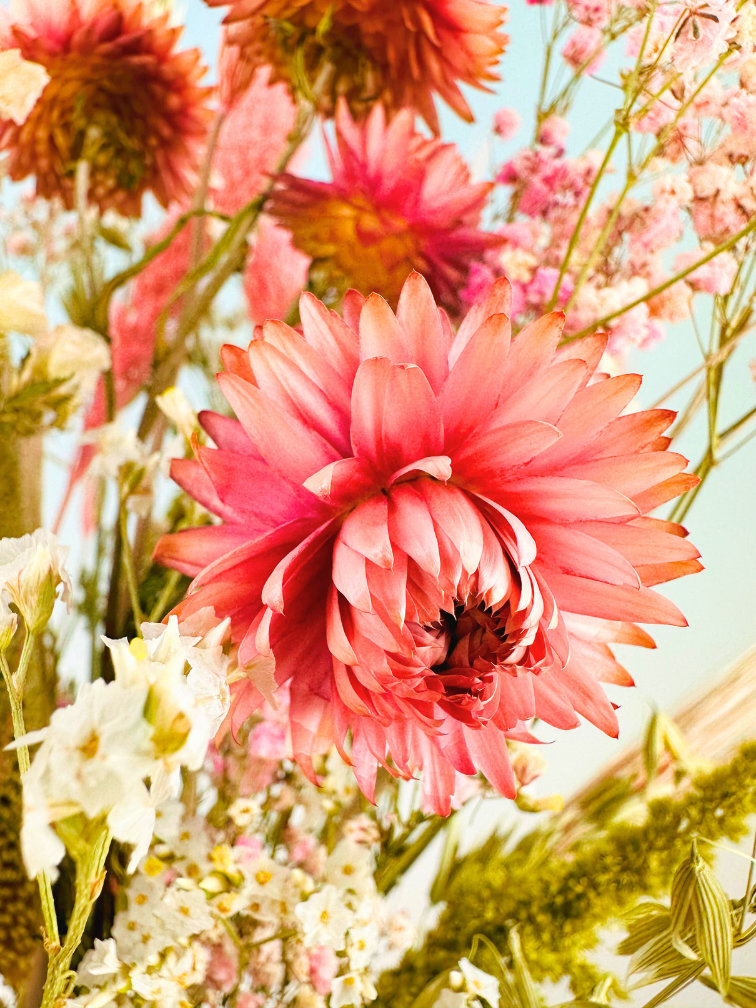 Ramo de flores secas "Rosa Natural" | 55cm