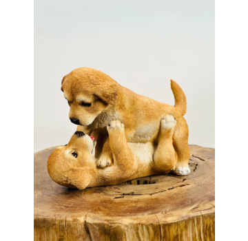 Joue avec des chiots | 23x12x17cm