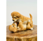 Grające szczeniaki (polyresin) | 23x12x17cm