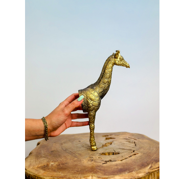 Escultura de pared Jirafa - oro - | 5x15x25 cm |.