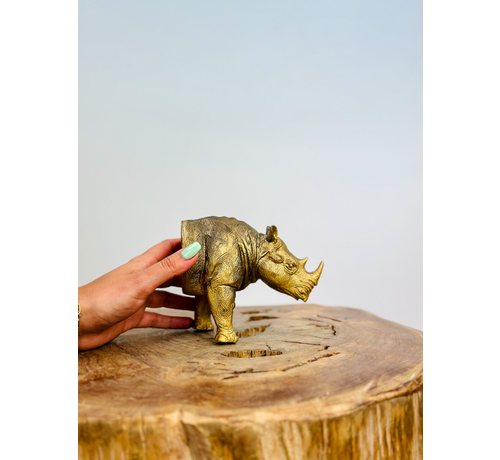 Rzeźba ścienna Nosorożec - złoto - (polyresin) | 7x11x13 cm |.