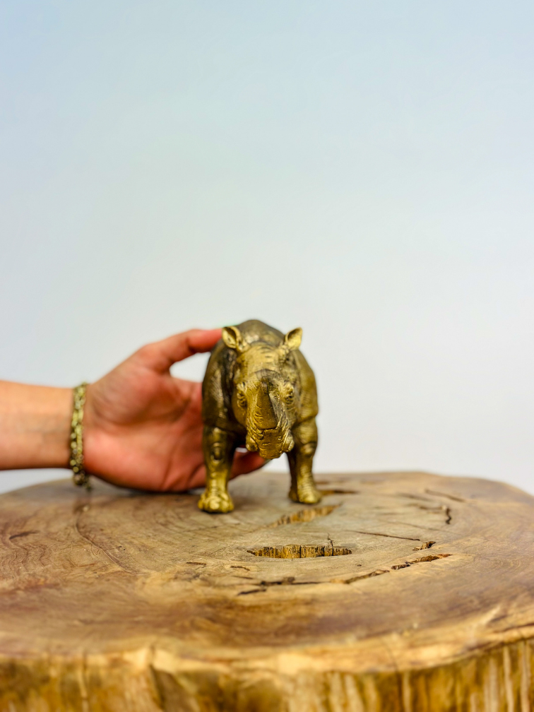 Väggskulptur Noshörning - guld - (polyresin) | 7x11x13 cm |.