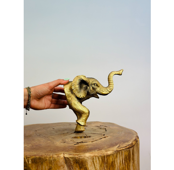 Scultura da parete Elefante - oro - | 9x18x16 cm |.