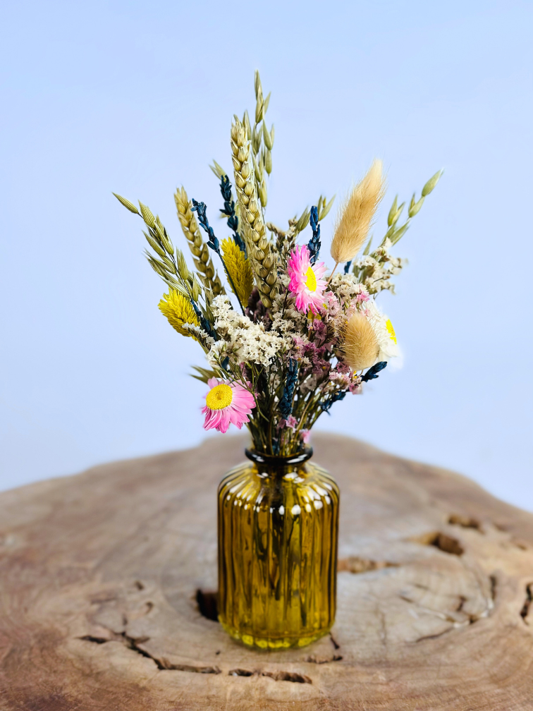 Trockenblumen in bunten Vasen