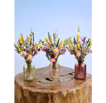 Fiori secchi in vasi colorati