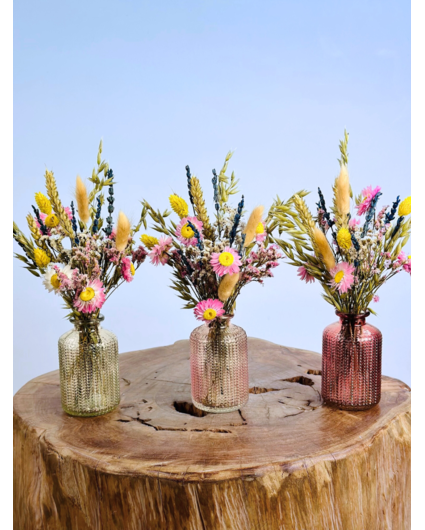 Flores secas en jarrones de colores