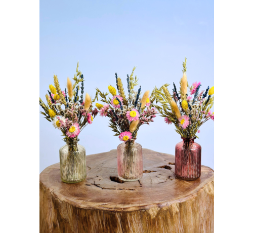 Trockenblumen in bunten Vasen