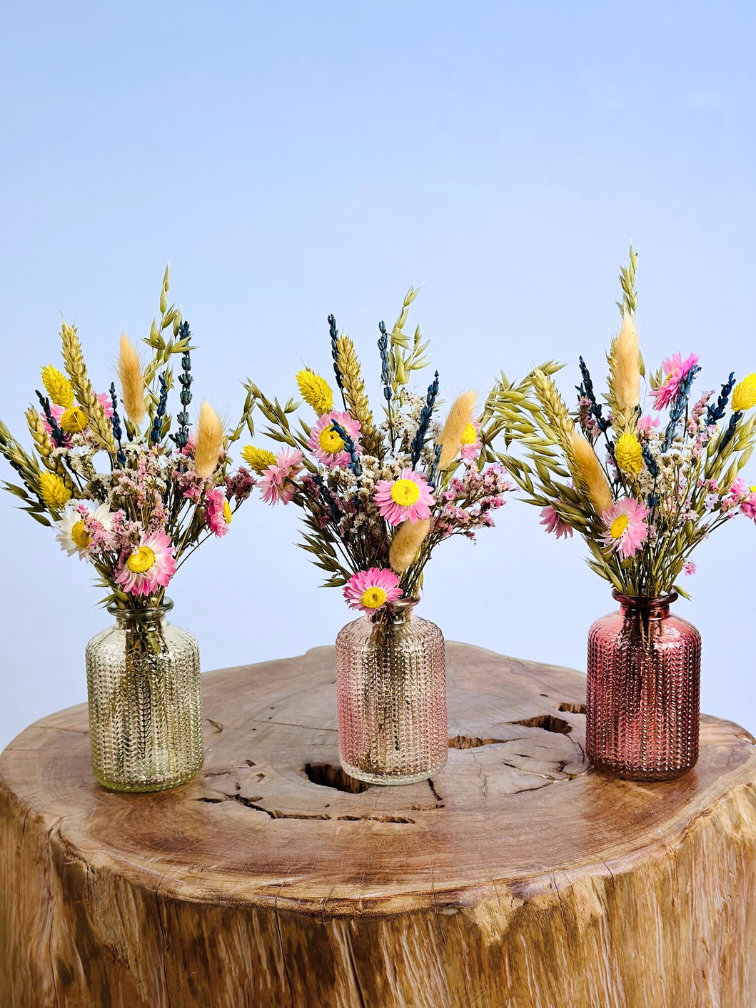 Fleurs sèches dans des vases colorés