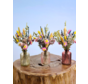 Fleurs sèches dans des vases colorés