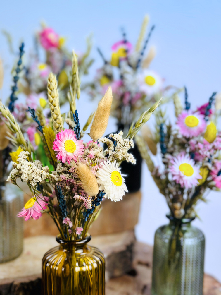 Trockenblumen in bunten Vasen