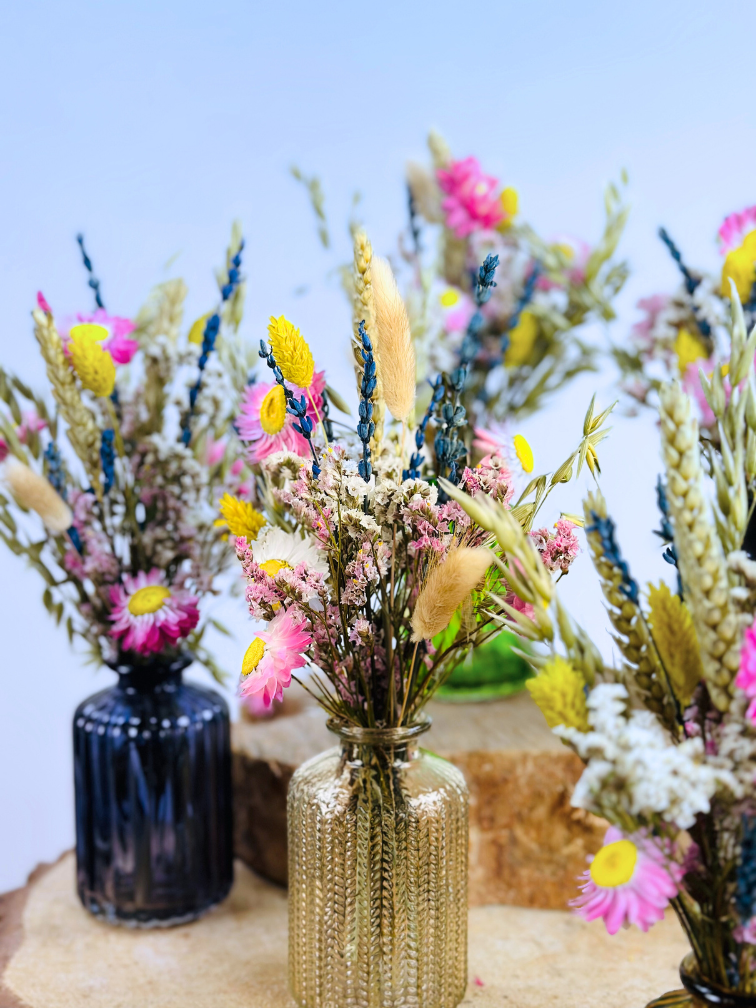 Trockenblumen in bunten Vasen