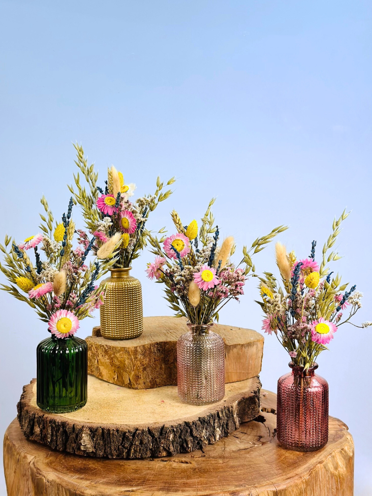 Trockenblumen in bunten Vasen