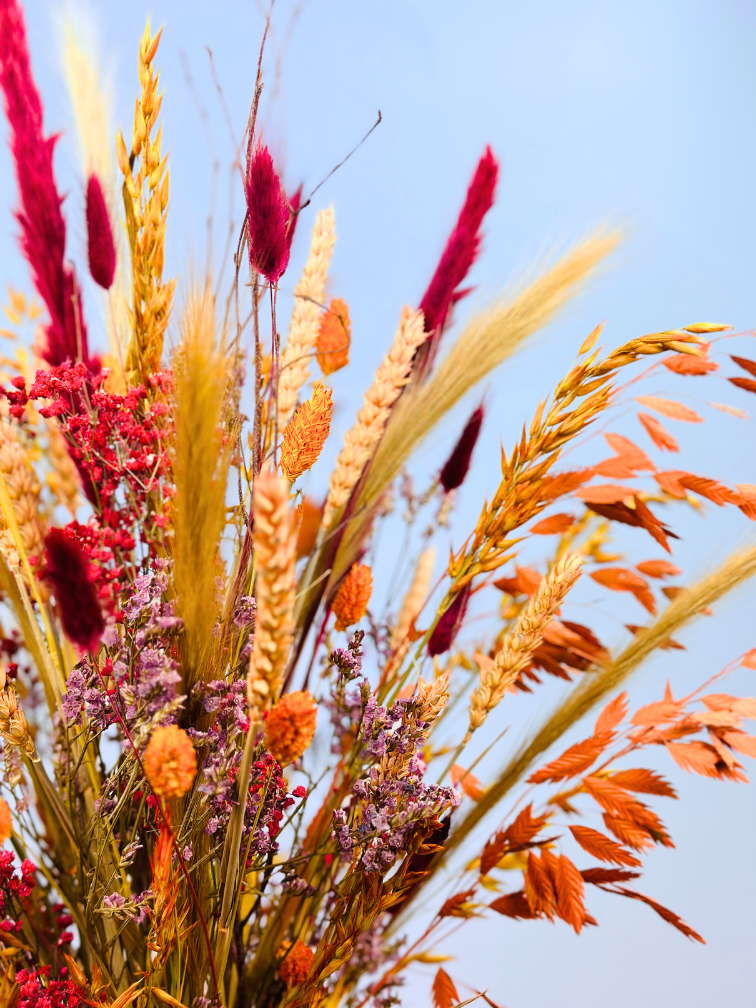 Dried flower bouquet "Josephine's Colours" | 70 cm