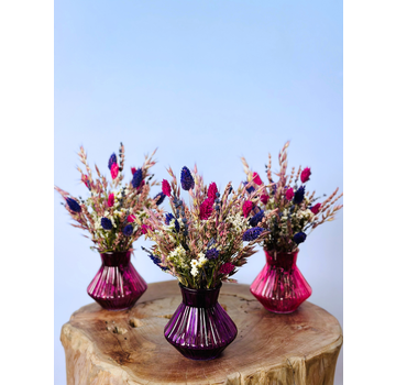 Bouquet de fleurs séchées "Sugar Crush" incl. vase | 3 couleurs