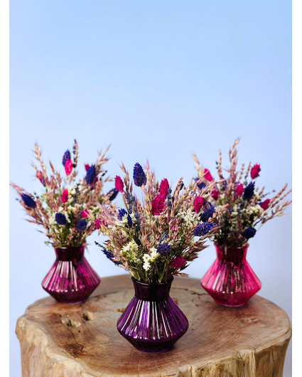 Bouquet de fleurs séchées "Sugar Crush" incl. vase | 3 couleurs
