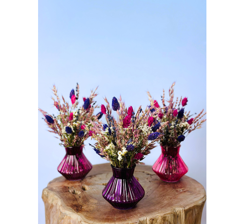 Bouquet de fleurs séchées "Sugar Crush" incl. vase | 3 couleurs