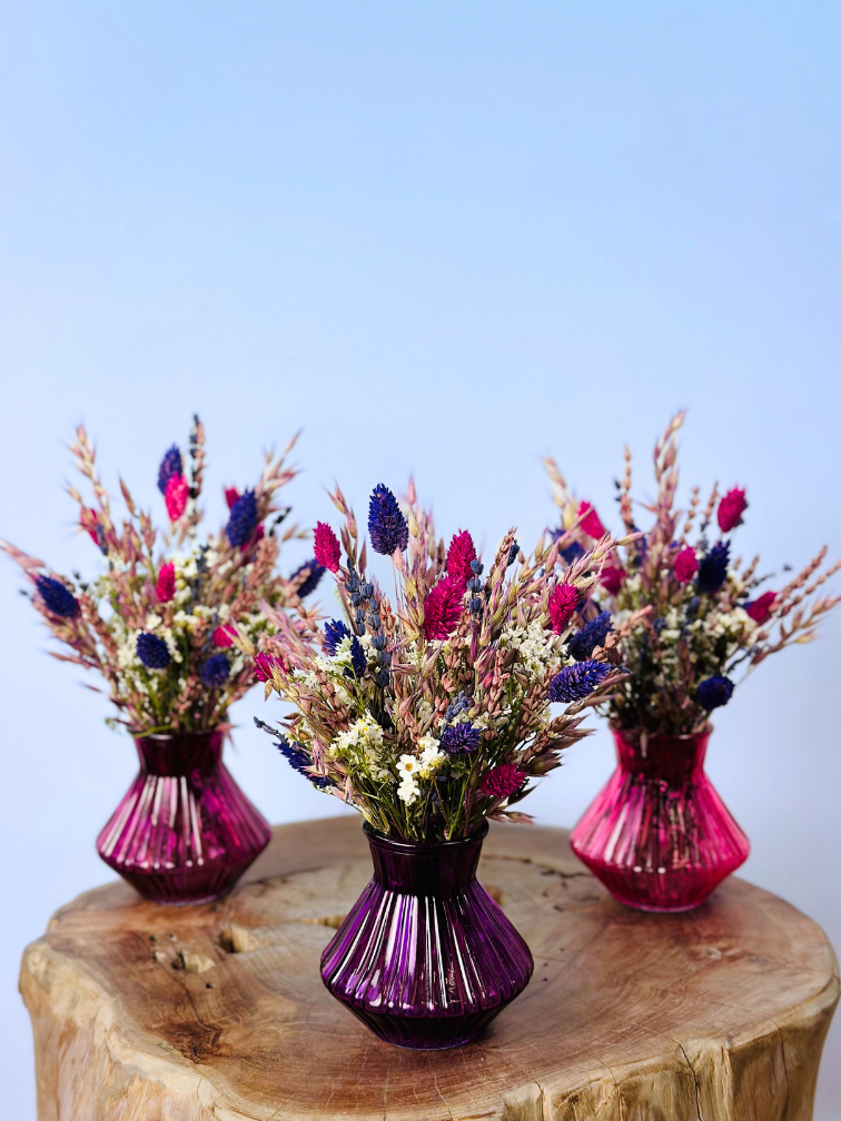 Bouquet de fleurs séchées "Sugar Crush" incl. vase | 3 couleurs