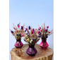 Bouquet de fleurs séchées "Sugar Crush" incl. vase | 3 couleurs