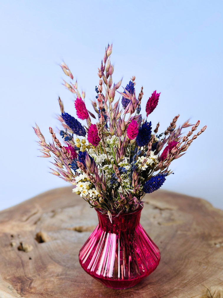 Bouquet de fleurs séchées "Sugar Crush" incl. vase | 3 couleurs