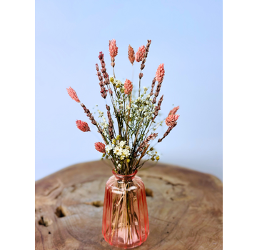 Ramos secos "Fiesta Rosa" incl. jarrón | 25cm