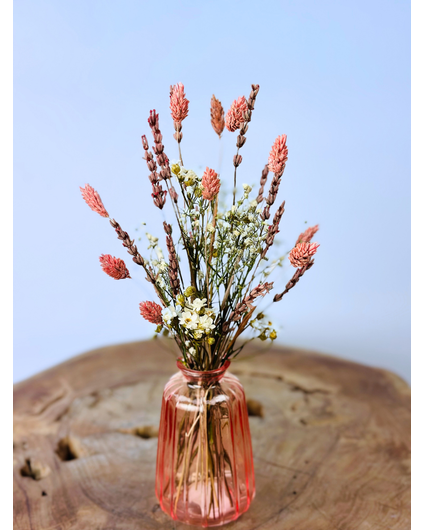 Ramos secos "Fiesta Rosa" incl. jarrón | 25cm