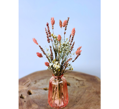 Ramos secos "Fiesta Rosa" incl. jarrón | 25cm
