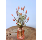 Ramos secos "Fiesta Rosa" incl. jarrón | 25cm