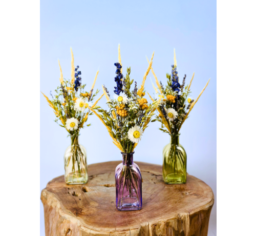 Bouquet de fleurs sèches 'Vicky's flowers' - vase inclus