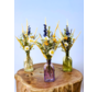 Bouquet di fiori secchi 'Vicky's flowers' - vaso incluso