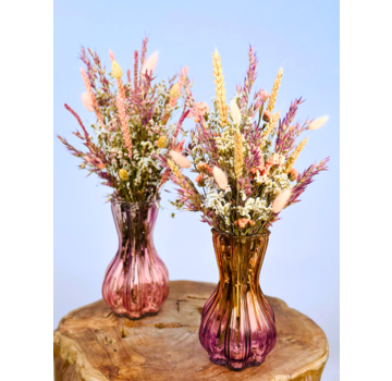 Ramo de flores secas "Flor de Rosella" - 45cm | incl. jarrón