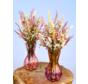 Ramo de flores secas "Flor de Rosella" - 45cm | incl. jarrón