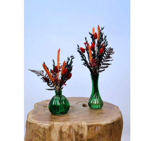 Kit de secado "Dúo Otoño Brillante" - conjunto completo