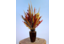 Herbststräuße