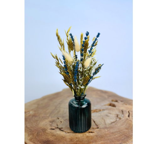Ramo de flores secas "Azul Real" mini incl. jarrón